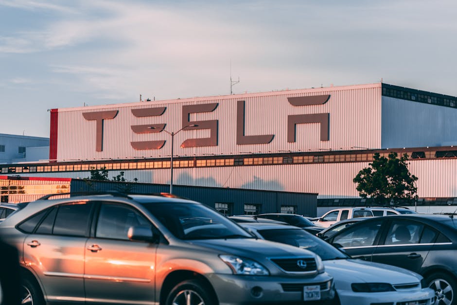 Comparing the Latest Electric Vehicles Today