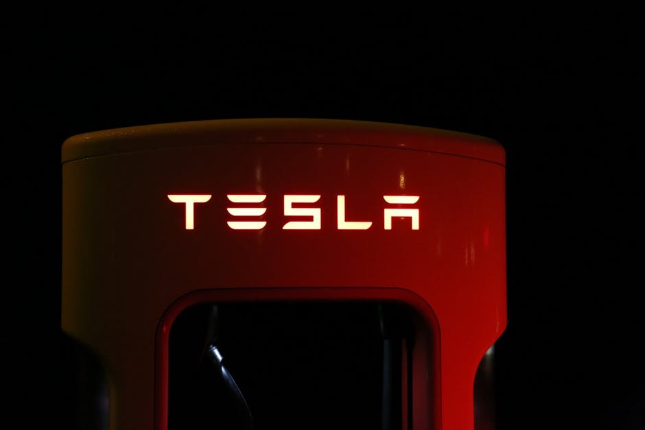 Why You Should Consider an Electric Vehicle