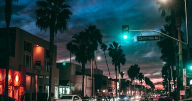 How Electric Cars Are Changing Transportation